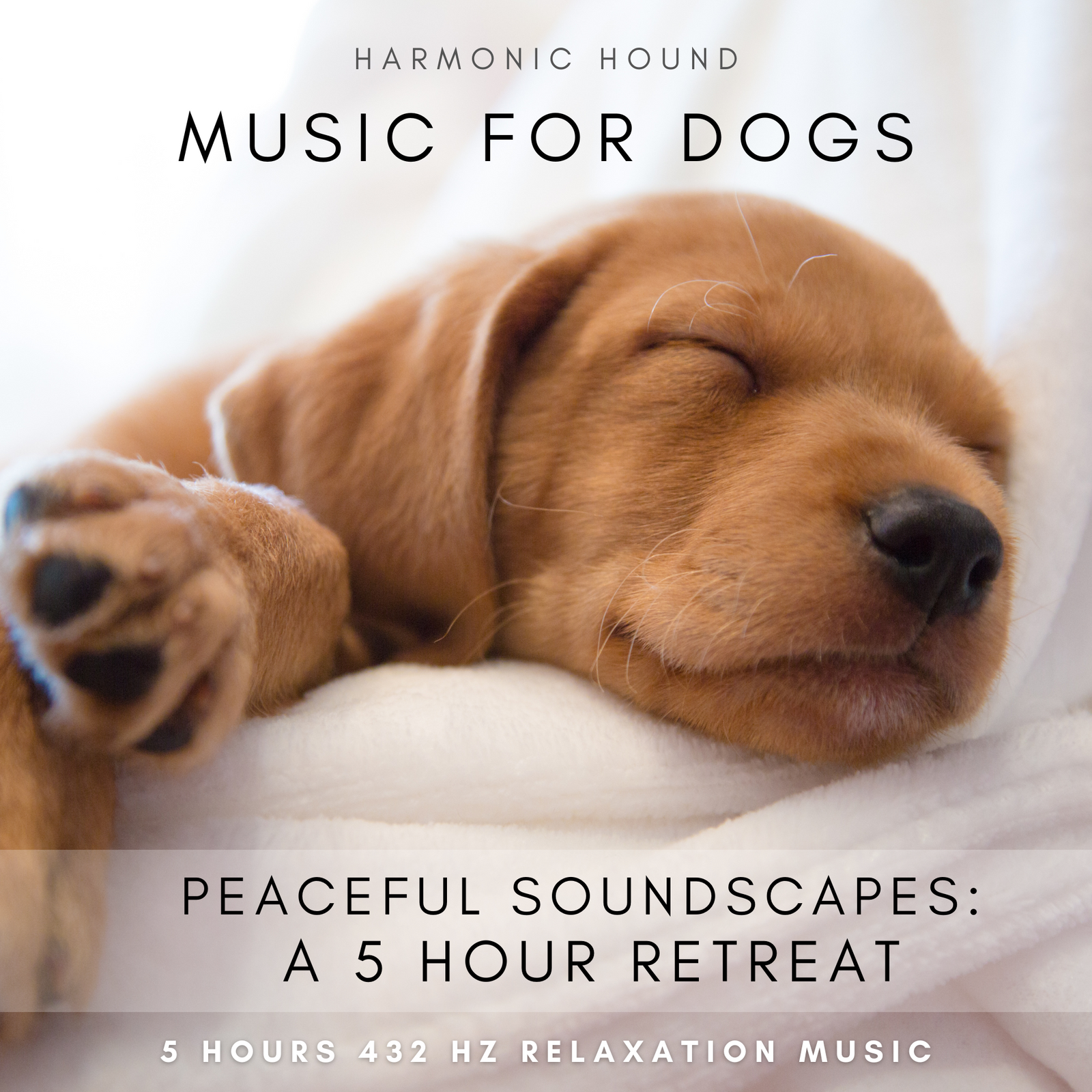 Harmonic Hound™ Peaceful Soundscapes for Dogs: A 5 Hour Retreat
