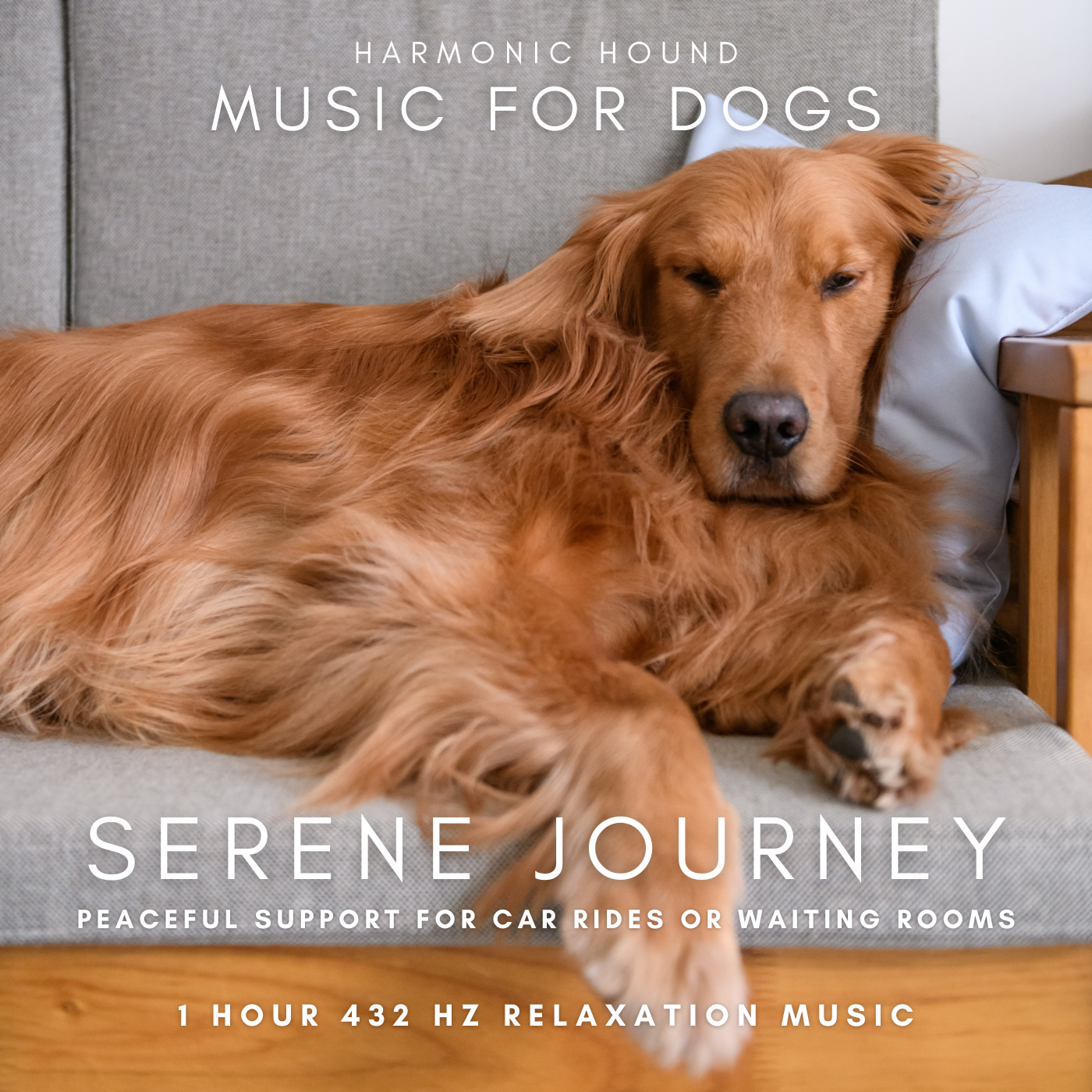 Harmonic Hound™ Serene Journey