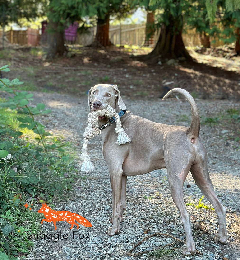 EcoHemp Dog Toys™